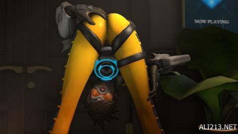 河西岸的未 河西岸的未