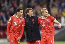 反打窗口被 反打窗口被